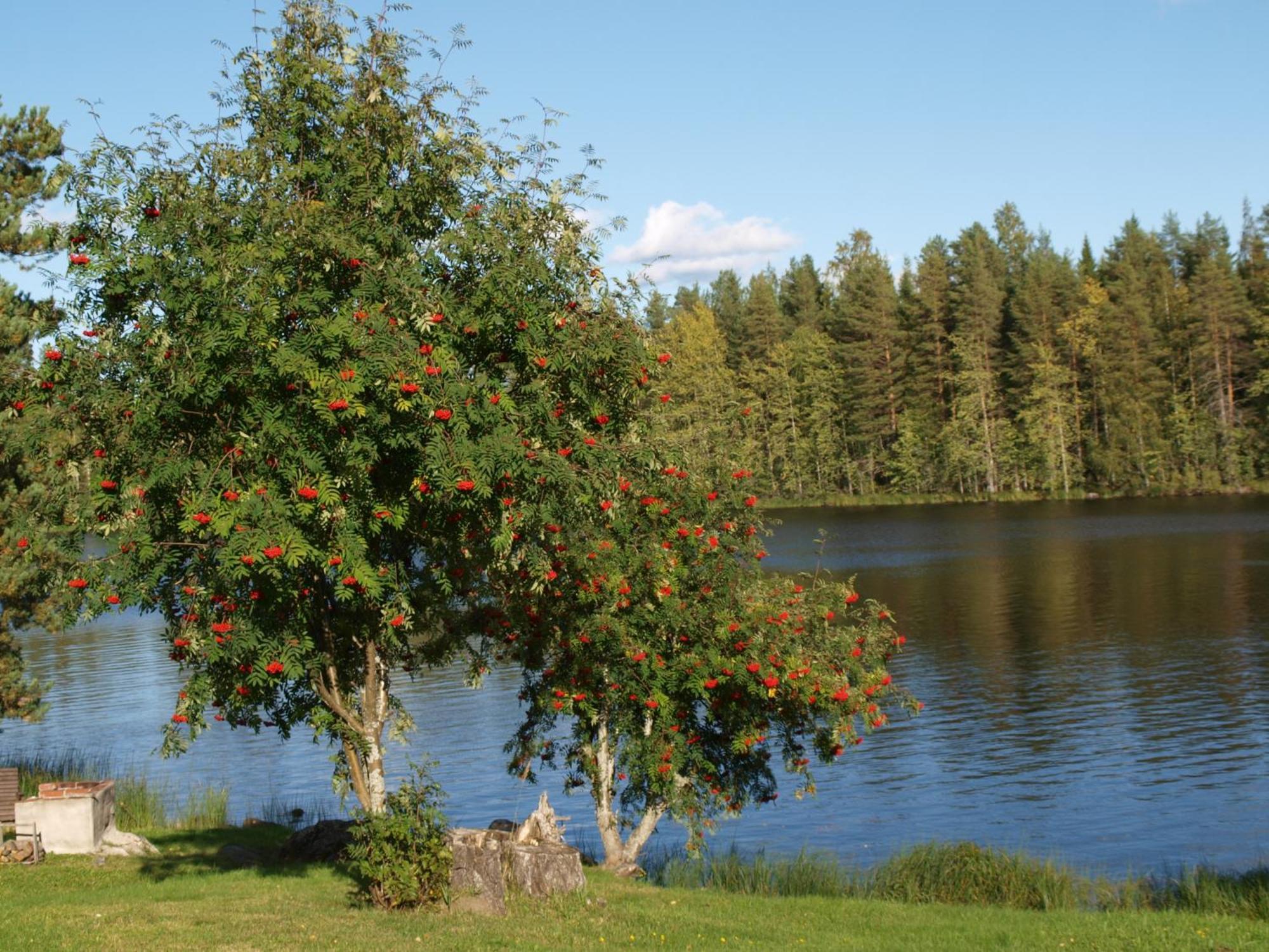Loma-Rantala Cottages Tahkovuori Eksteriør bilde